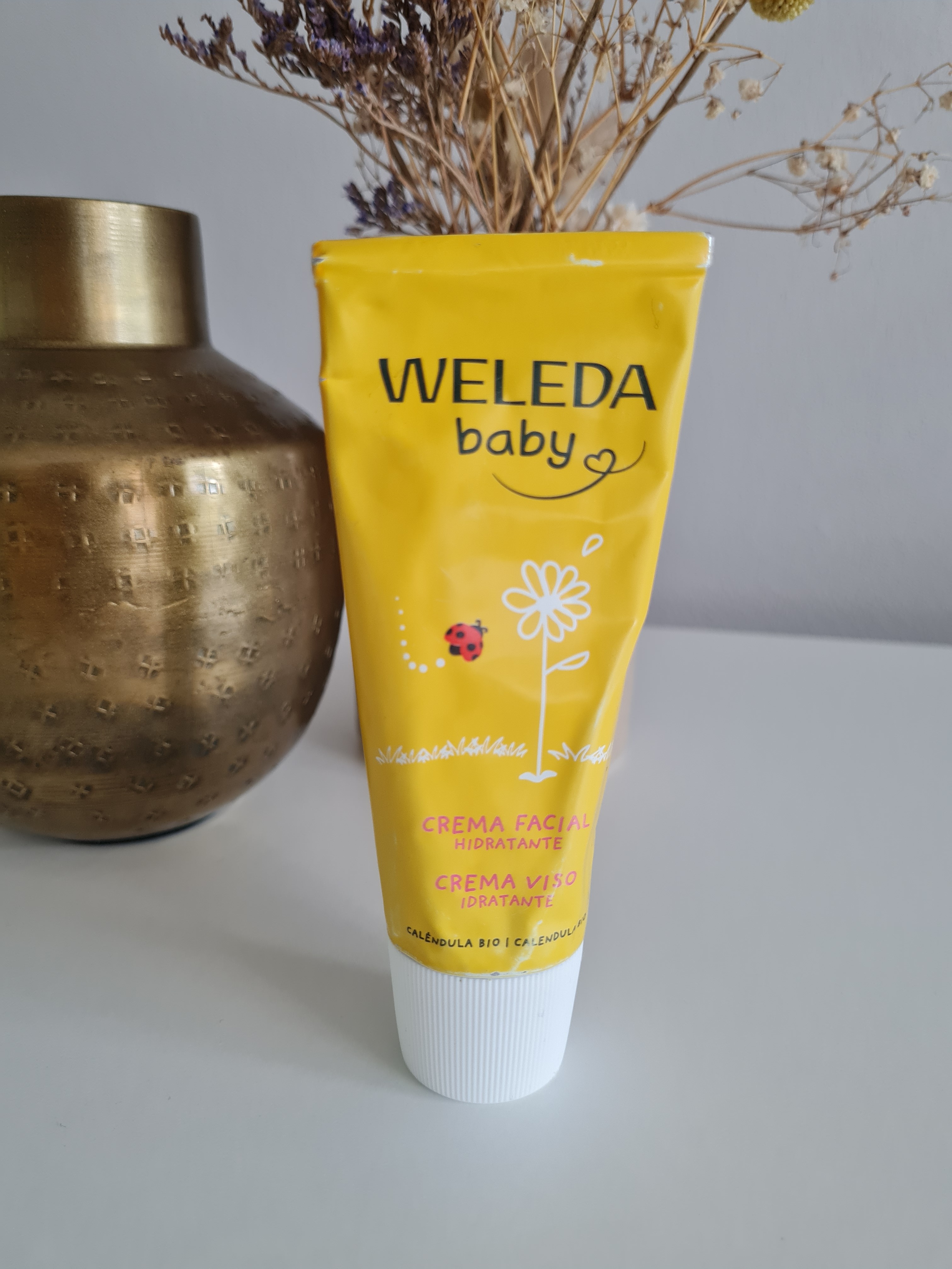 Weleda Calendula Gesichtscreme für Babys und Neugeborene – Tiegel auf weißem Hintergrund