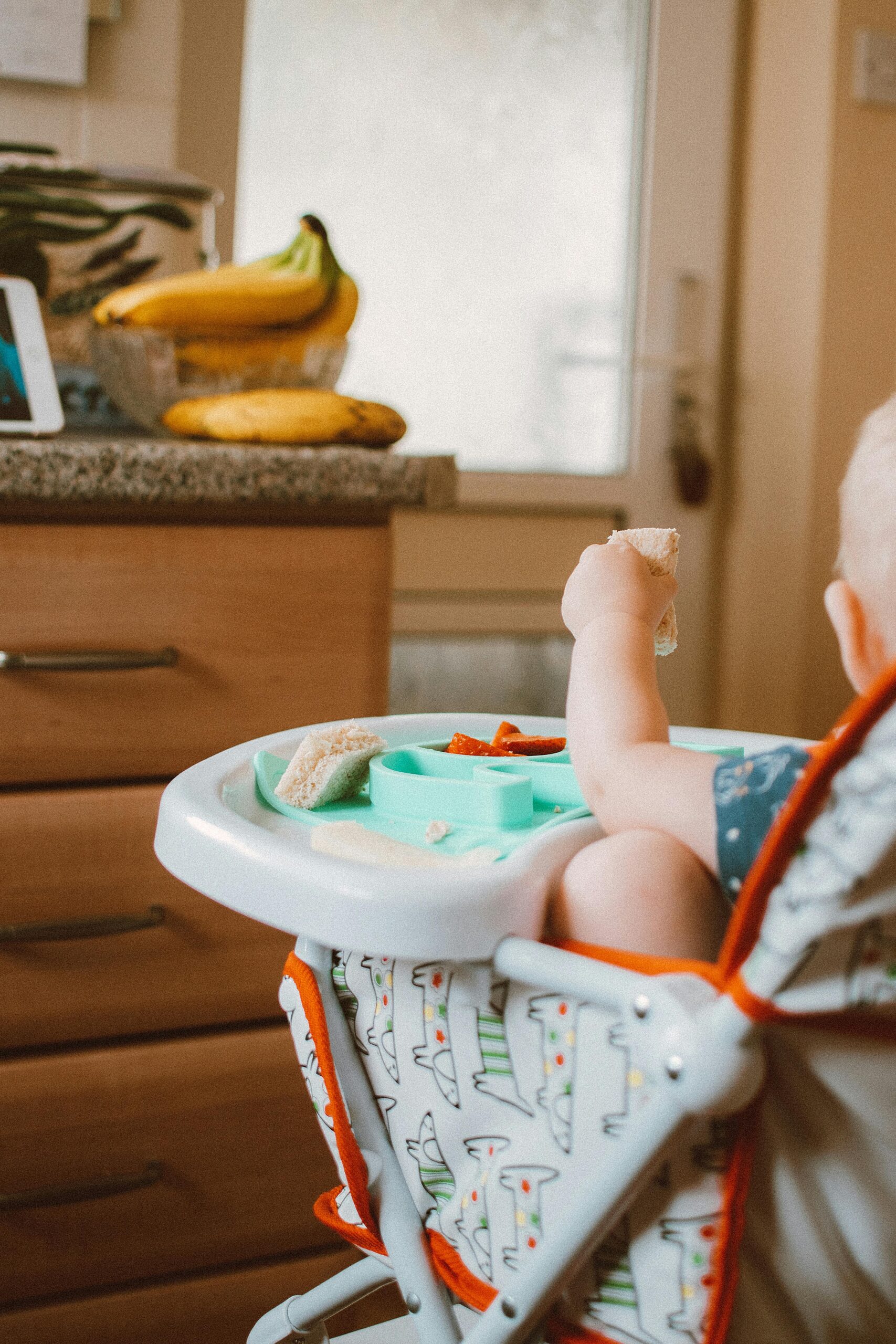 Baby von hinten im Hochstuhl beim ersten Essen – Beikost-Start