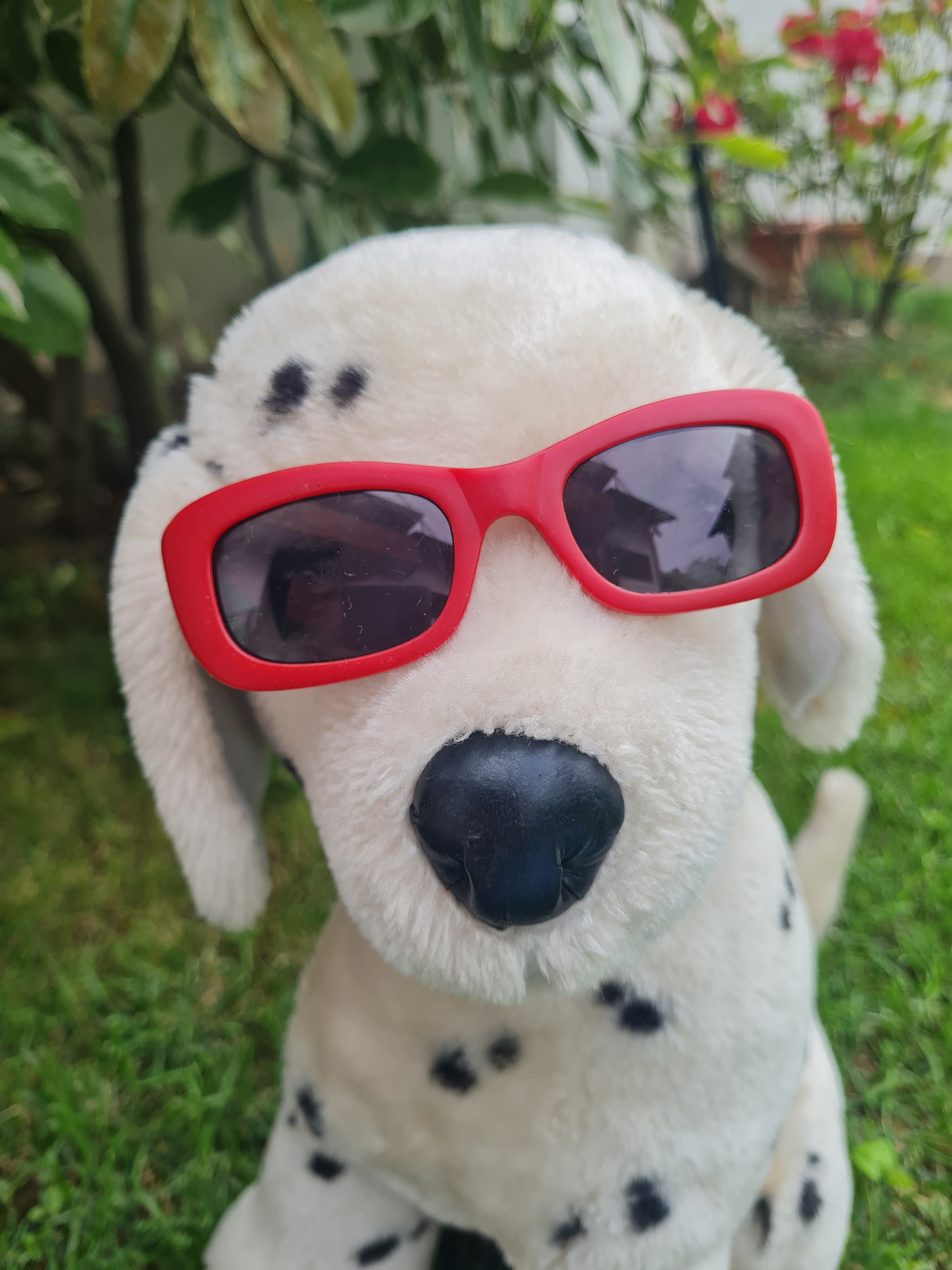 Kindersonnenbrille für Baby und Kleinkind