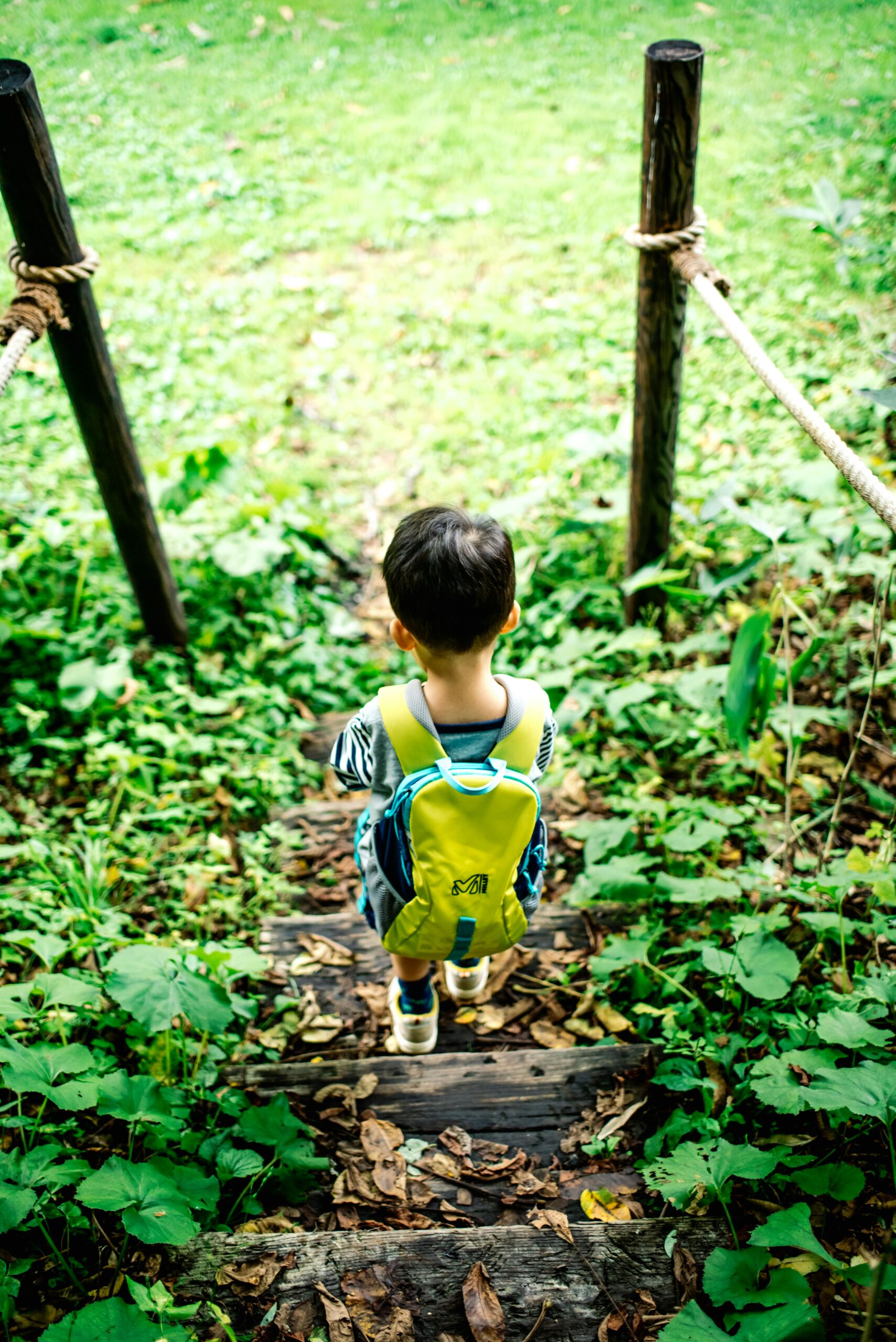 Kind mit gelbem Schulrucksack auf dem Weg zur Schule – Schulranzen Test